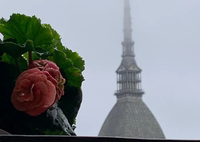 Le Finestre Sulla Mole 公寓 *